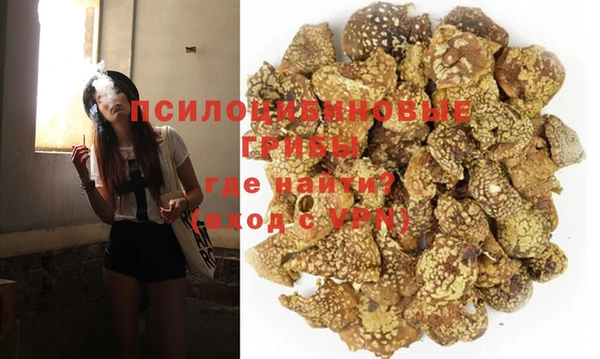 apvp Слюдянка