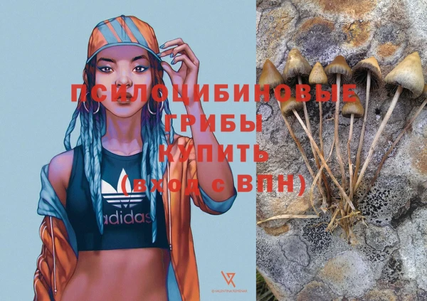 apvp Слюдянка