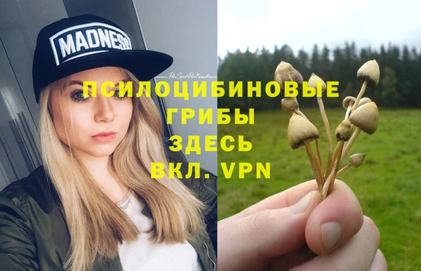 не бодяженный Снежинск