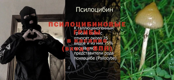 не бодяженный Снежинск