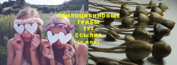 apvp Слюдянка