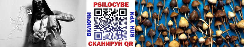 Псилоцибиновые грибы мицелий  цены наркотик  Ханты-Мансийск 